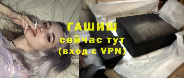 шишки Инсар