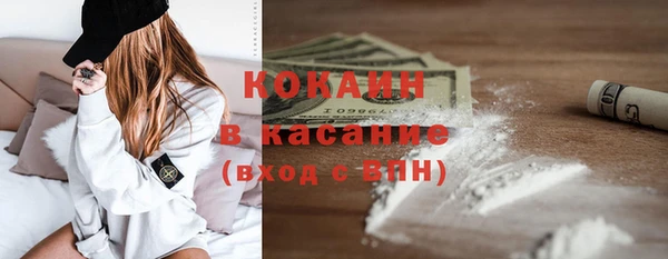 шишки Инсар