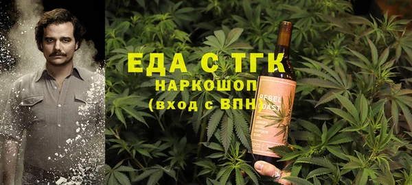 шишки Инсар