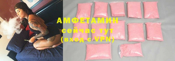 шишки Инсар