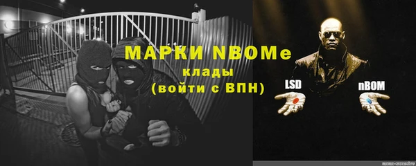 шишки Инсар