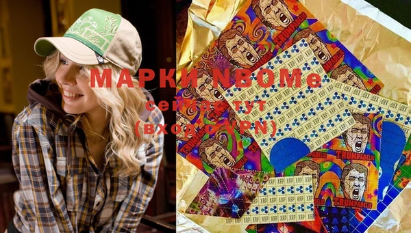 трава Инта