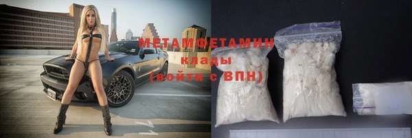 шишки Инсар