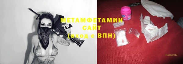 трава Инта