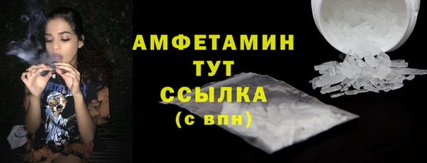 трава Инта