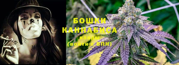 трава Инта