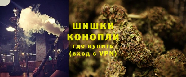 шишки Инсар