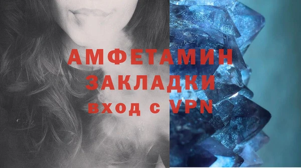 шишки Инсар