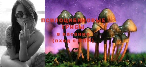 шишки Инсар