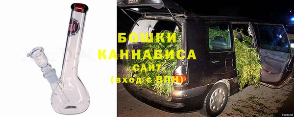 трава Инта