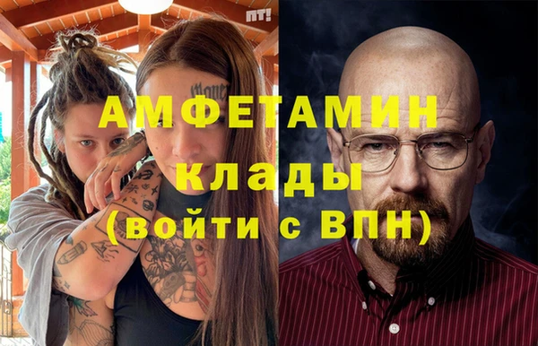 шишки Инсар