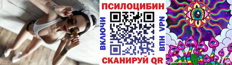 Купить  Новоаннинский  Галлюциногенные грибы мицелий 